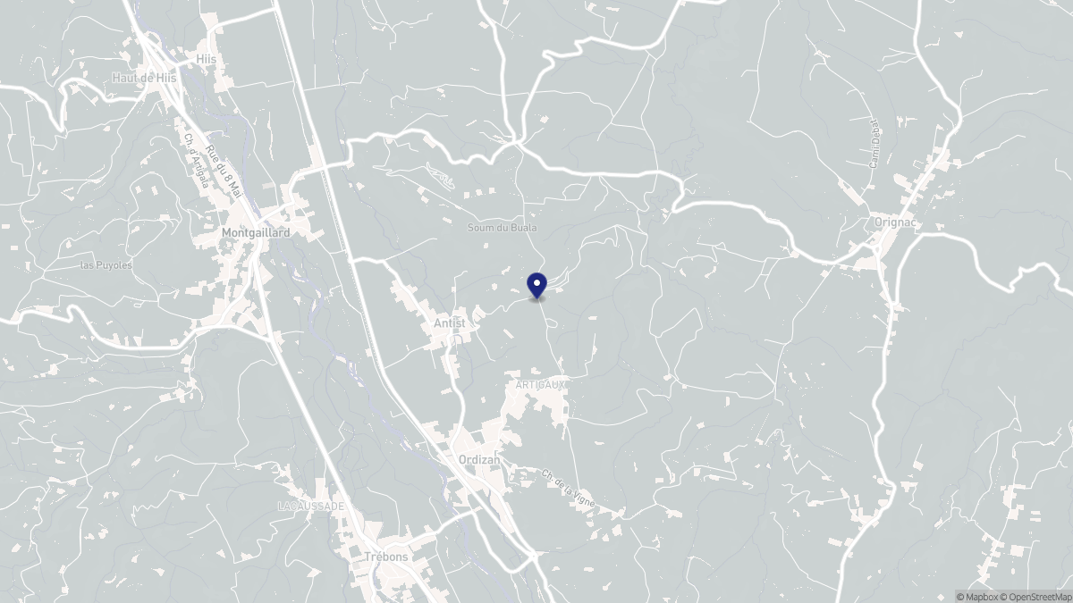 Aperçu cartographique de Antist, centré sur la commune