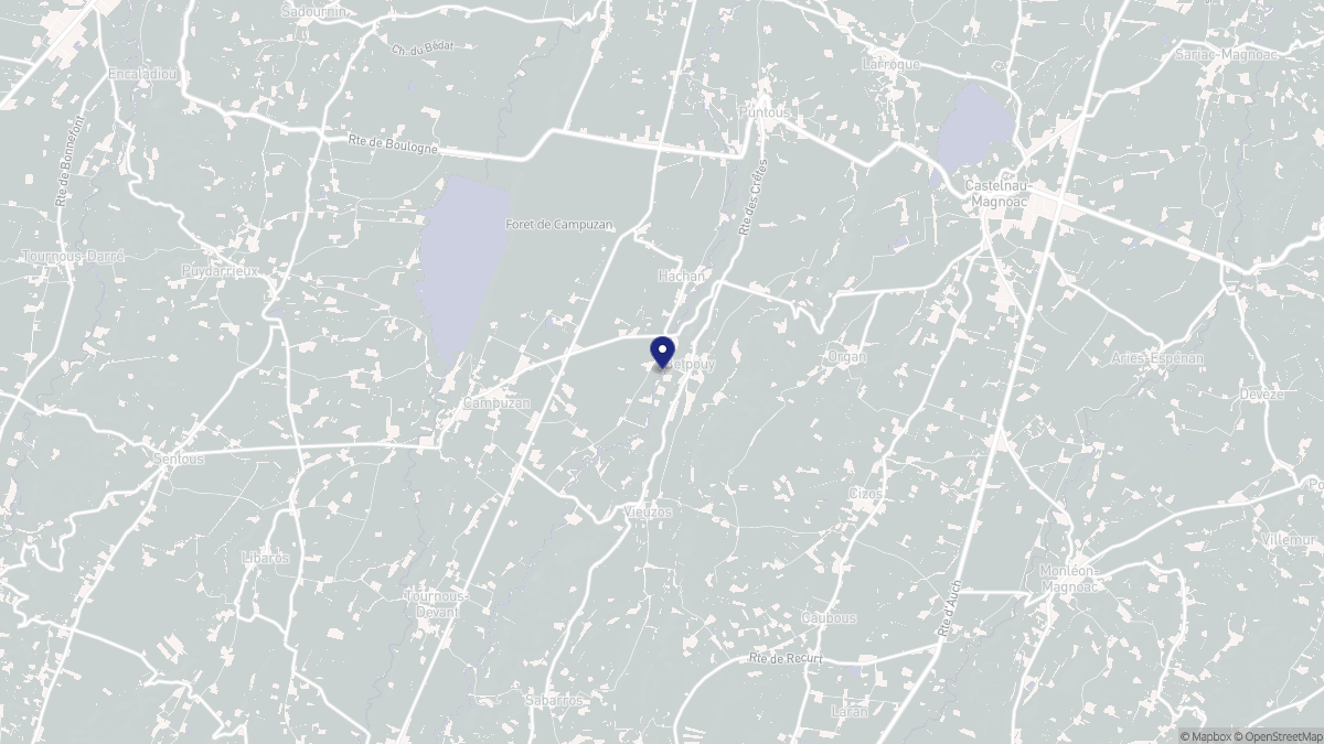 Aperçu cartographique de Betpouy, centré sur la commune