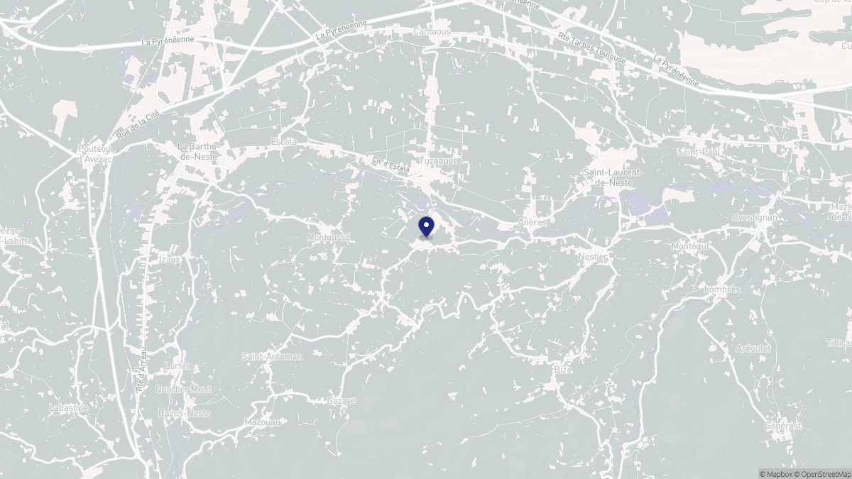 Aperçu cartographique de Bizous, centré sur la commune