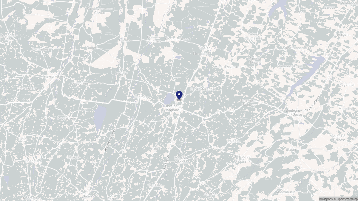 Aperçu cartographique de Castelnau-Magnoac, centré sur la commune