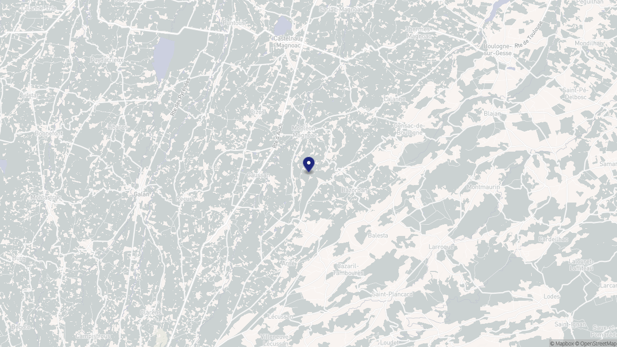 Aperçu cartographique de Monléon-Magnoac, centré sur la commune