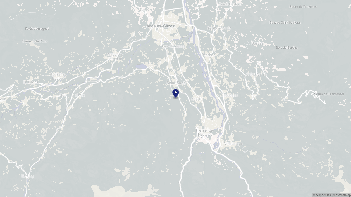 Aperçu cartographique de Saint-Savin, centré sur la commune