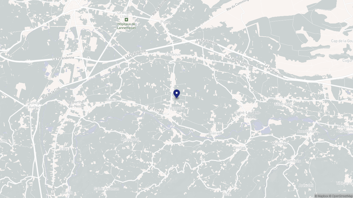 Aperçu cartographique de Tuzaguet, centré sur la commune