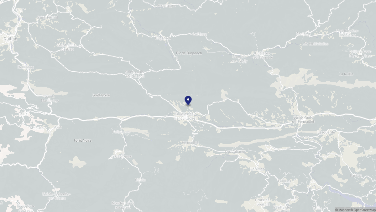 Aperçu cartographique de Caudiès-de-Fenouillèdes, centré sur la commune