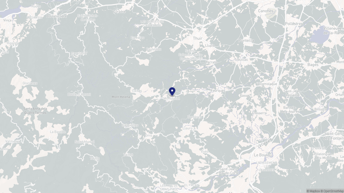 Aperçu cartographique de Montauriol, centré sur la commune
