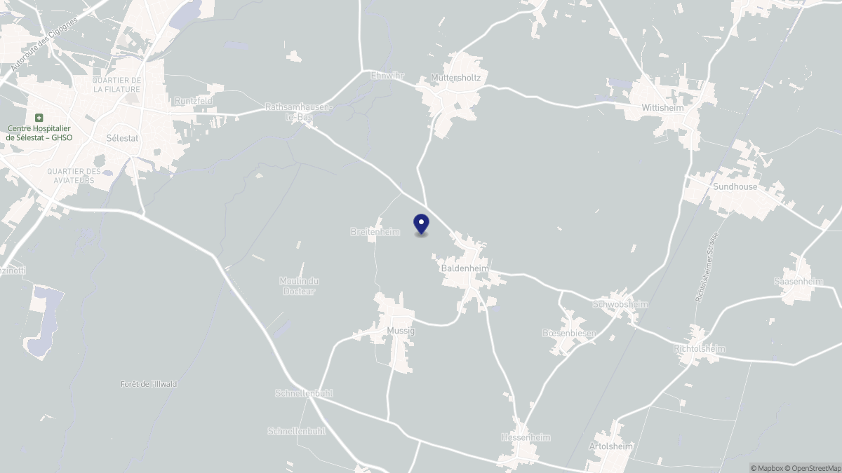 Aperçu cartographique de Baldenheim, centré sur la commune