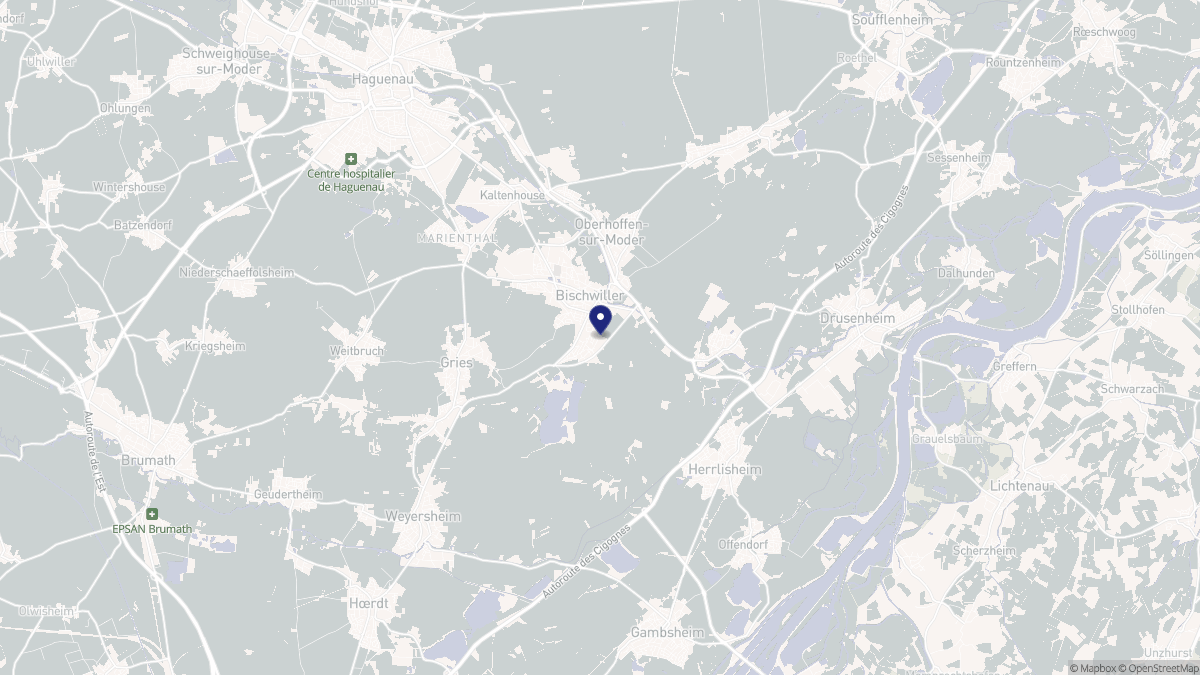 Aperçu cartographique de Bischwiller, centré sur la commune