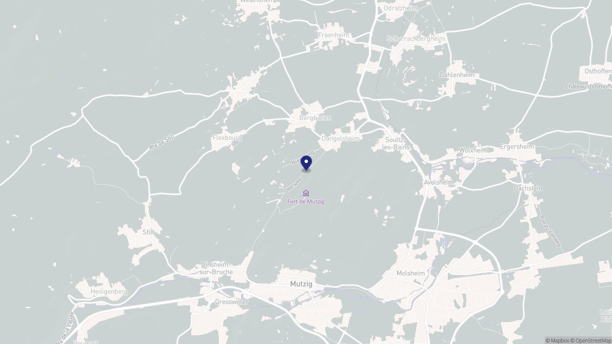 Aperçu cartographique de Dangolsheim, centré sur la commune