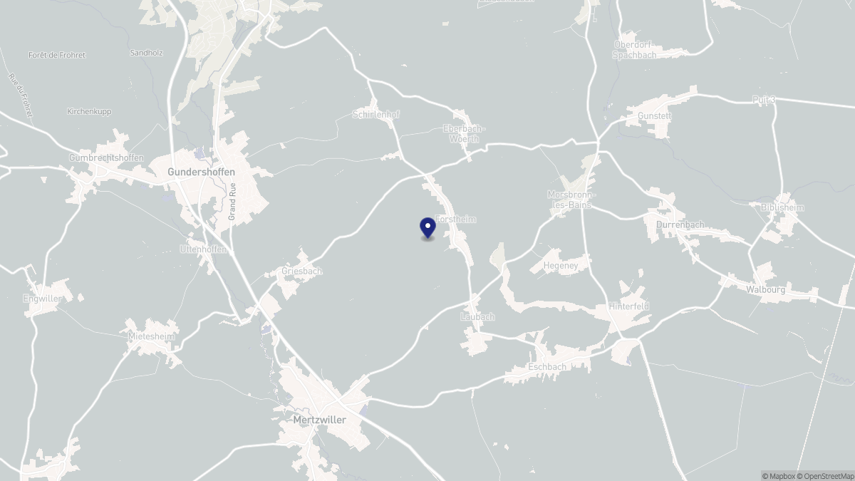 Aperçu cartographique de Forstheim, centré sur la commune
