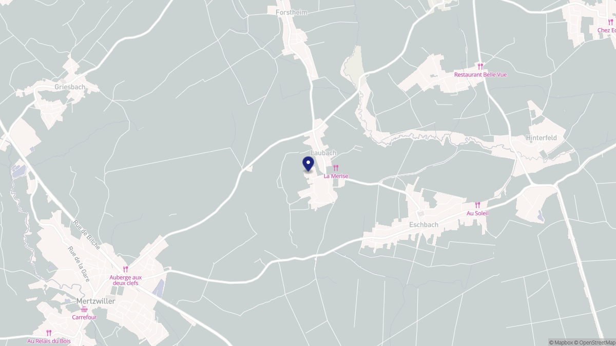 Aperçu cartographique de Laubach, centré sur la commune