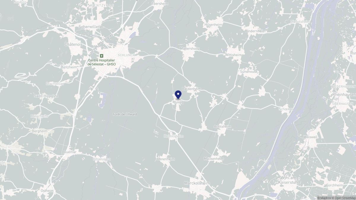 Aperçu cartographique de Mussig, centré sur la commune
