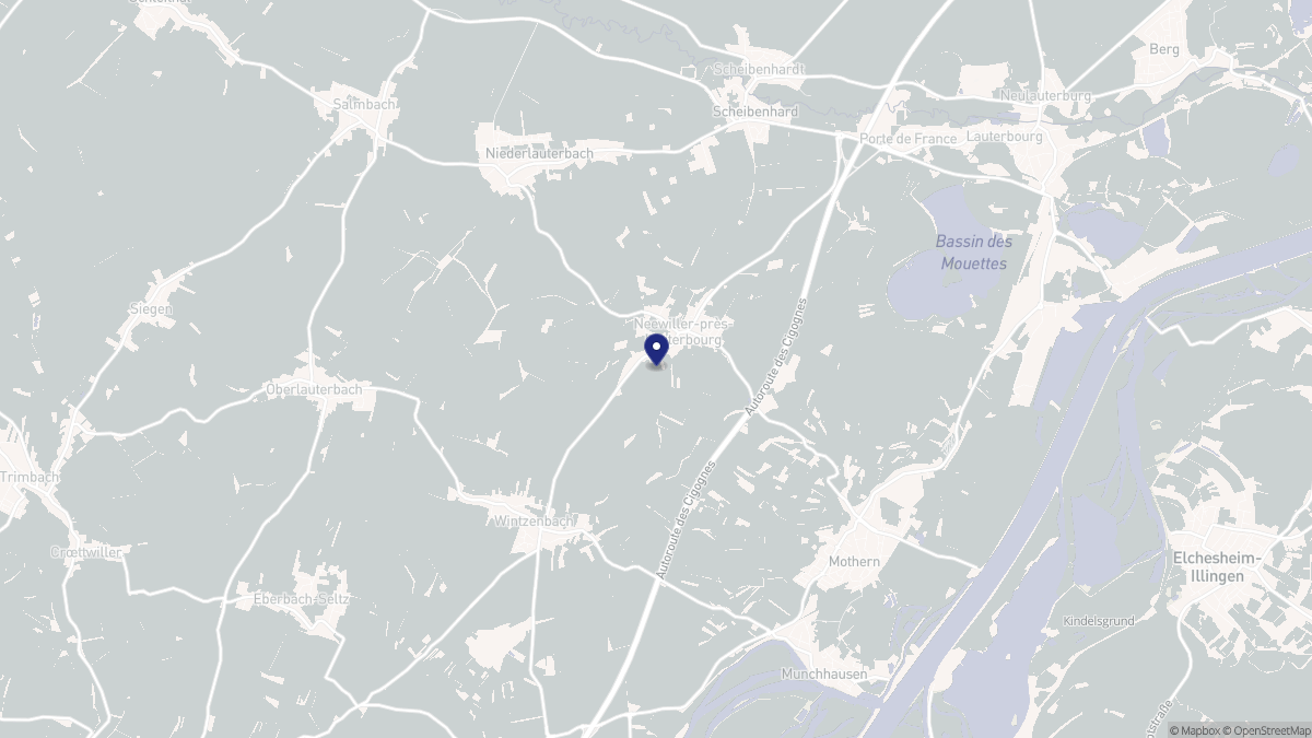 Aperçu cartographique de Neewiller-près-Lauterbourg, centré sur la commune