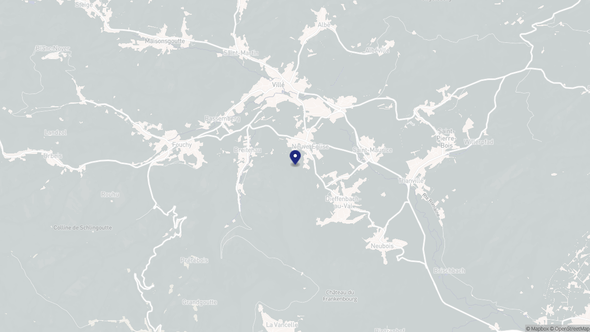 Aperçu cartographique de Neuve-Église, centré sur la commune