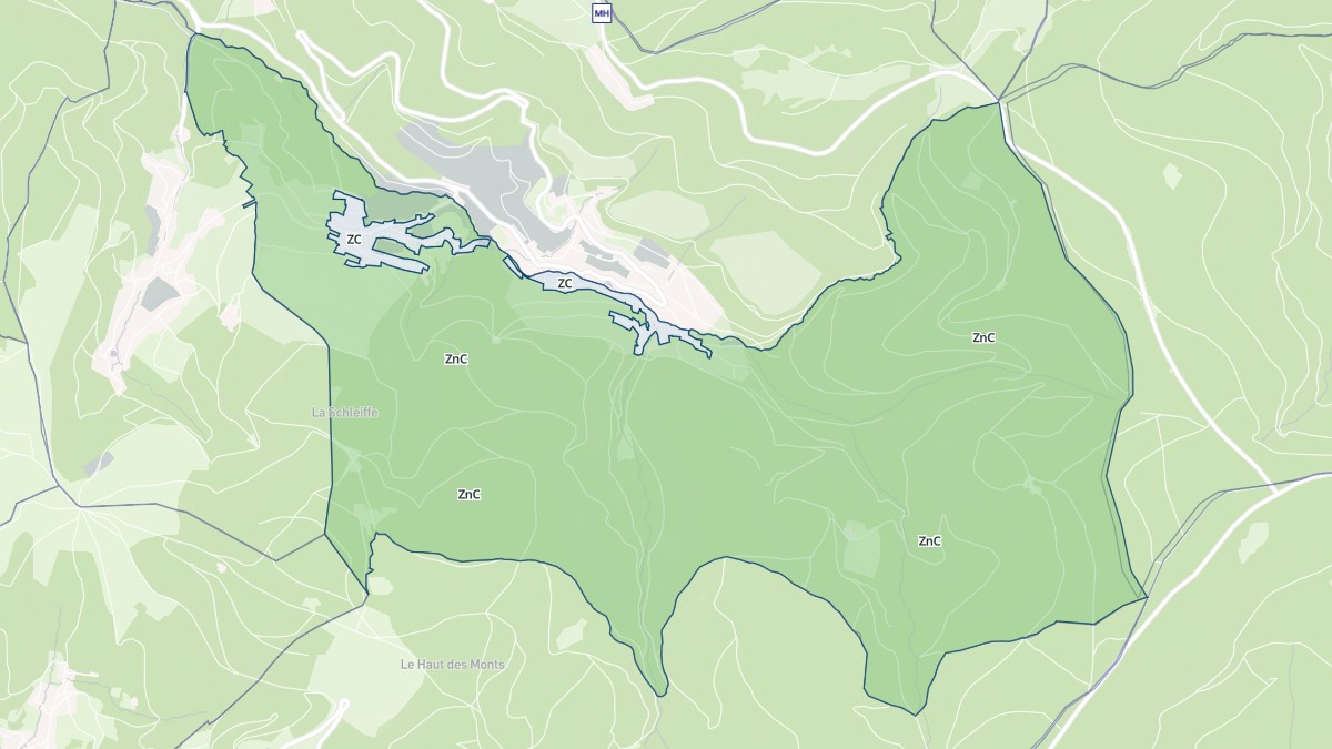 Aperçu cartographique de Neuviller-la-Roche, centré sur la commune