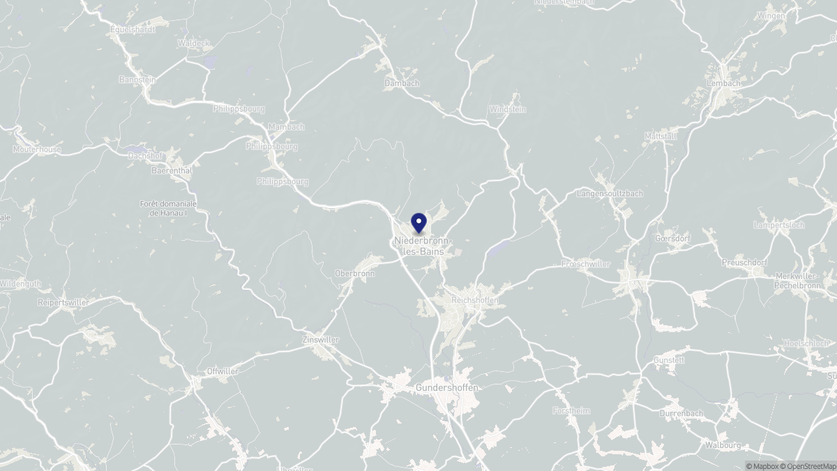 Aperçu cartographique de Niederbronn-les-Bains, centré sur la commune