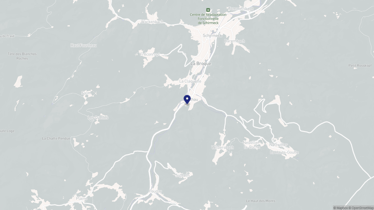 Aperçu cartographique de Rothau, centré sur la commune