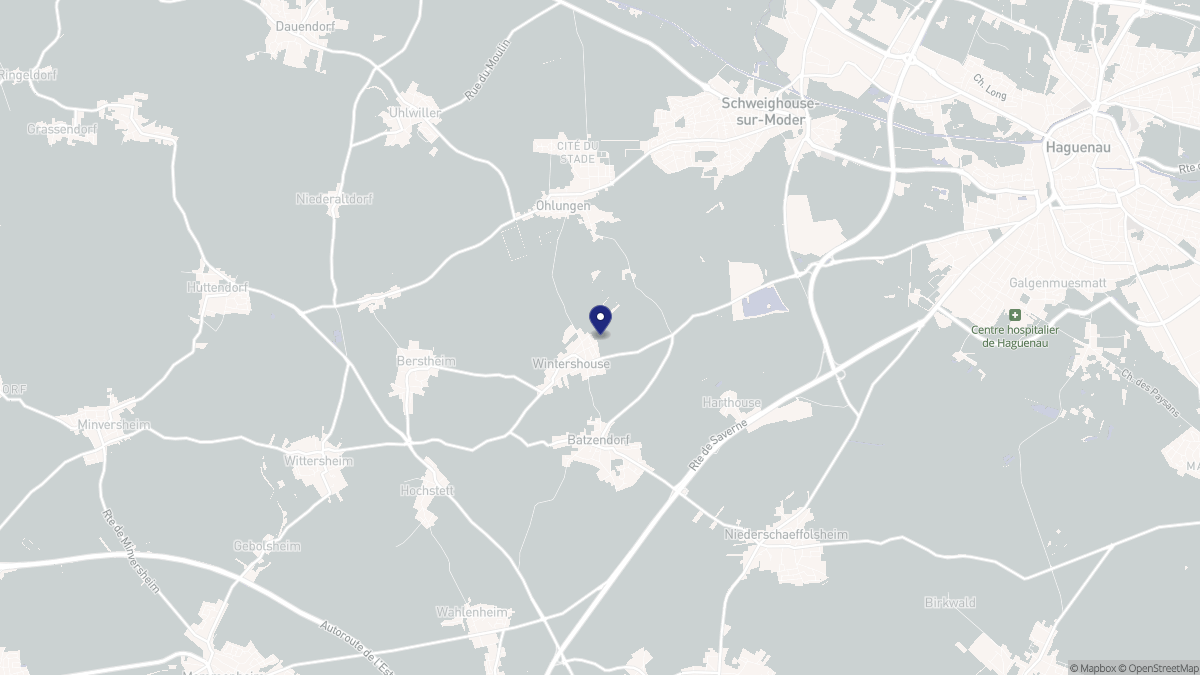 Aperçu cartographique de Wintershouse, centré sur la commune