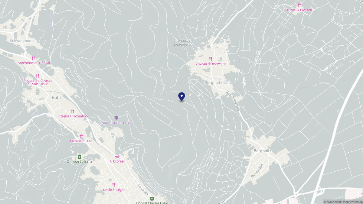 Aperçu cartographique de Bergholtzzell, centré sur la commune