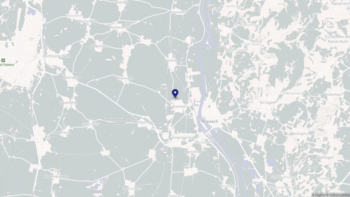 Aperçu cartographique de Biesheim, centré sur la commune