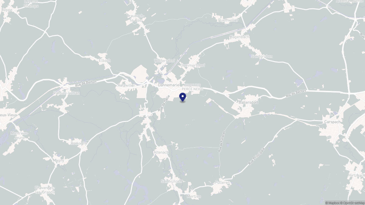 Aperçu cartographique de Dannemarie, centré sur la commune