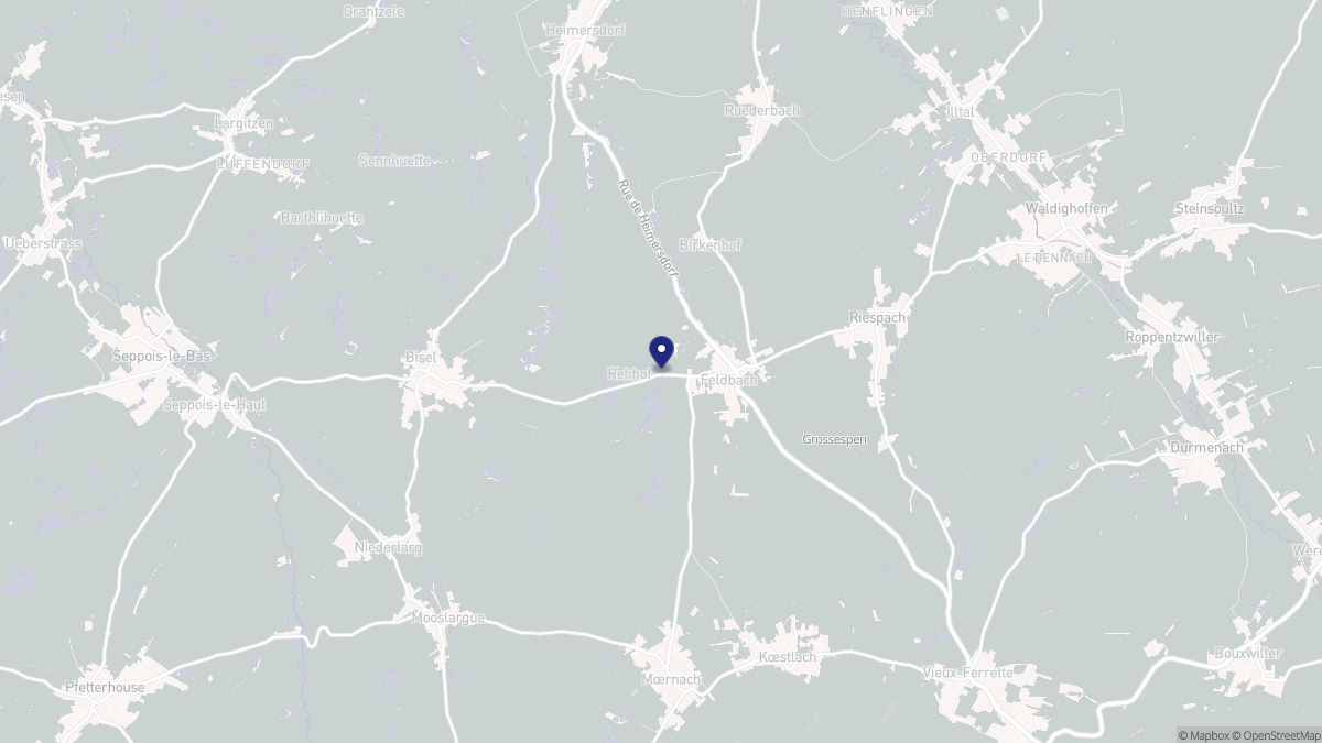 Aperçu cartographique de Feldbach, centré sur la commune