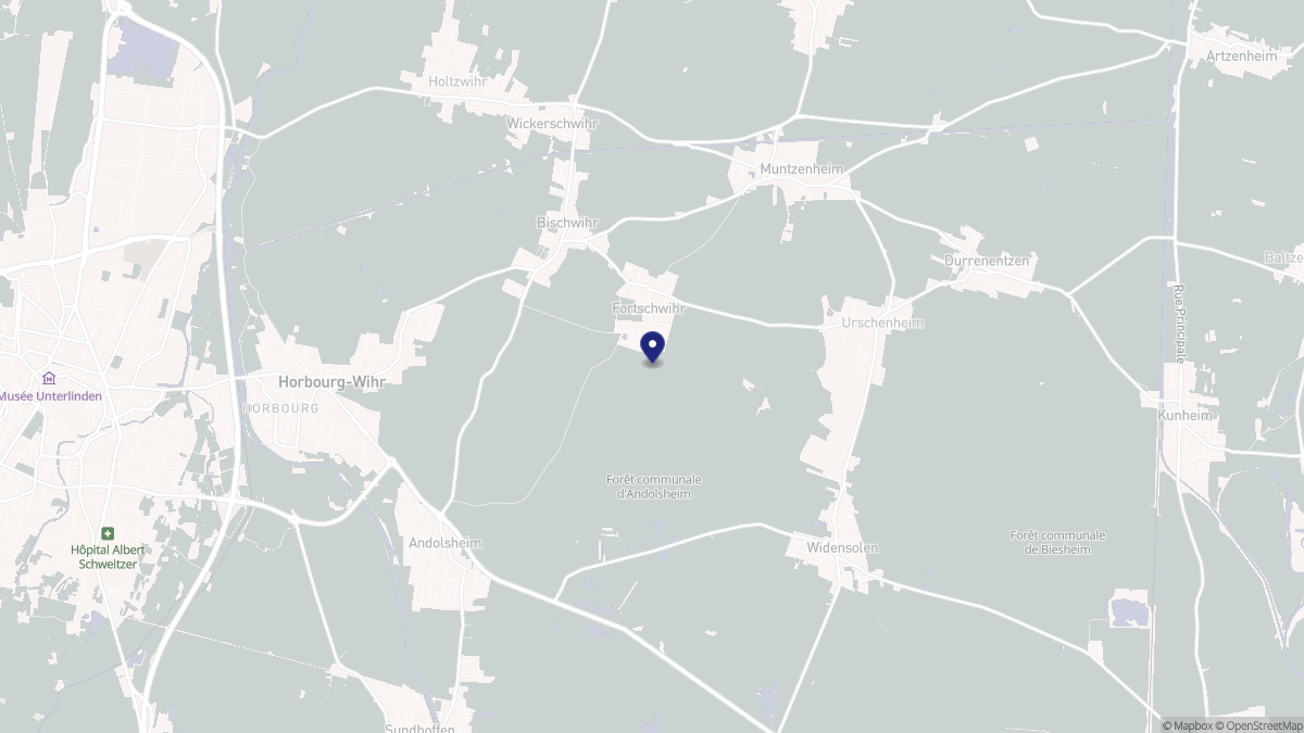 Aperçu cartographique de Fortschwihr, centré sur la commune