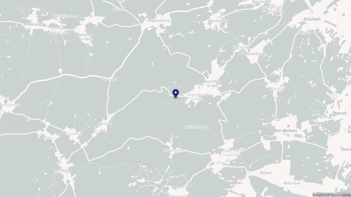 Aperçu cartographique de Hagenthal-le-Haut, centré sur la commune
