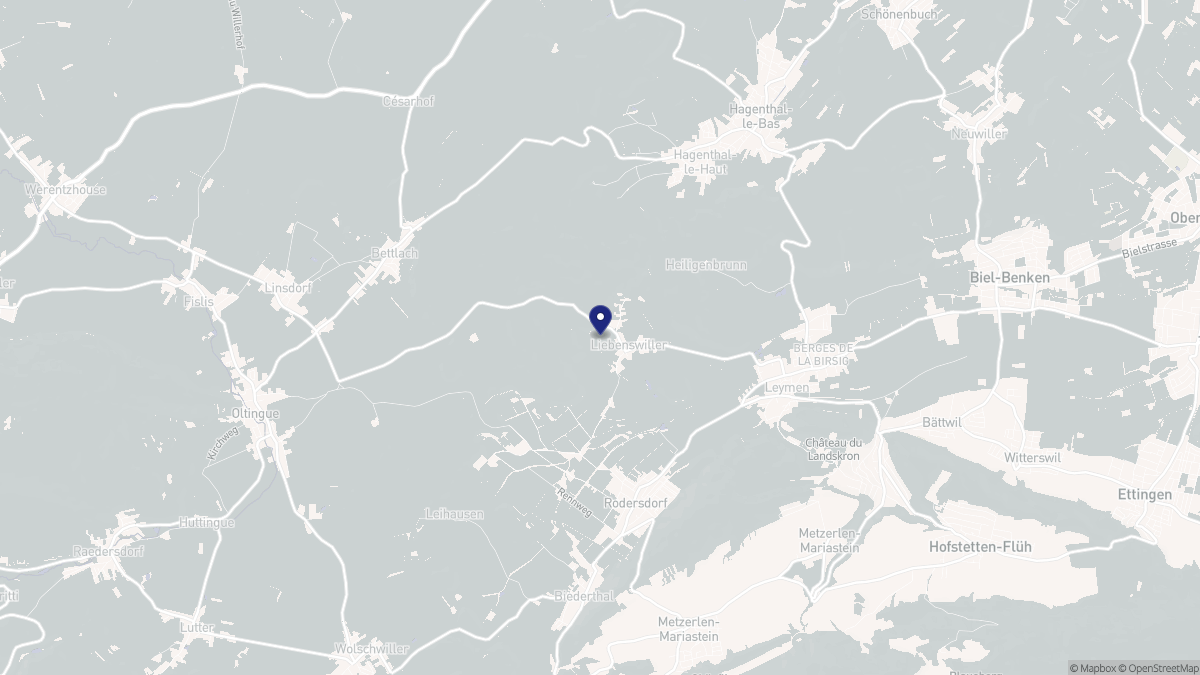 Aperçu cartographique de Liebenswiller, centré sur la commune