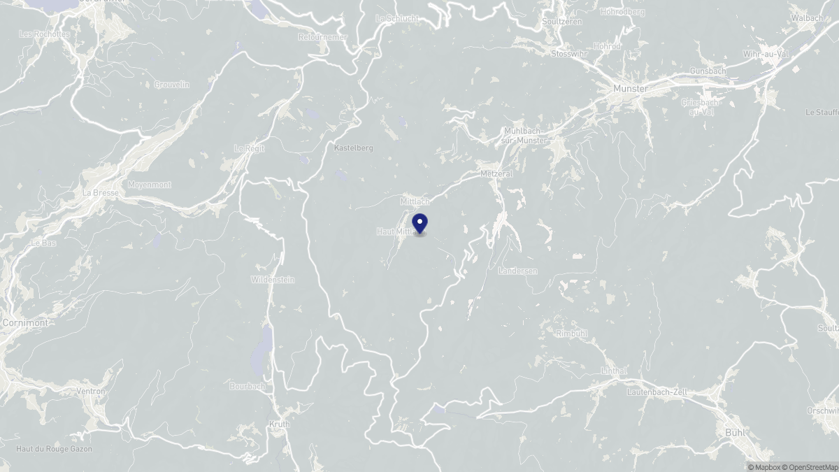 Aperçu cartographique de Metzeral, centré sur la commune