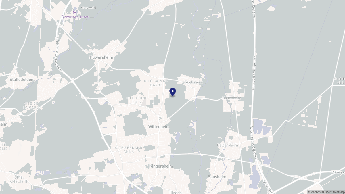 Aperçu cartographique de Ruelisheim, centré sur la commune
