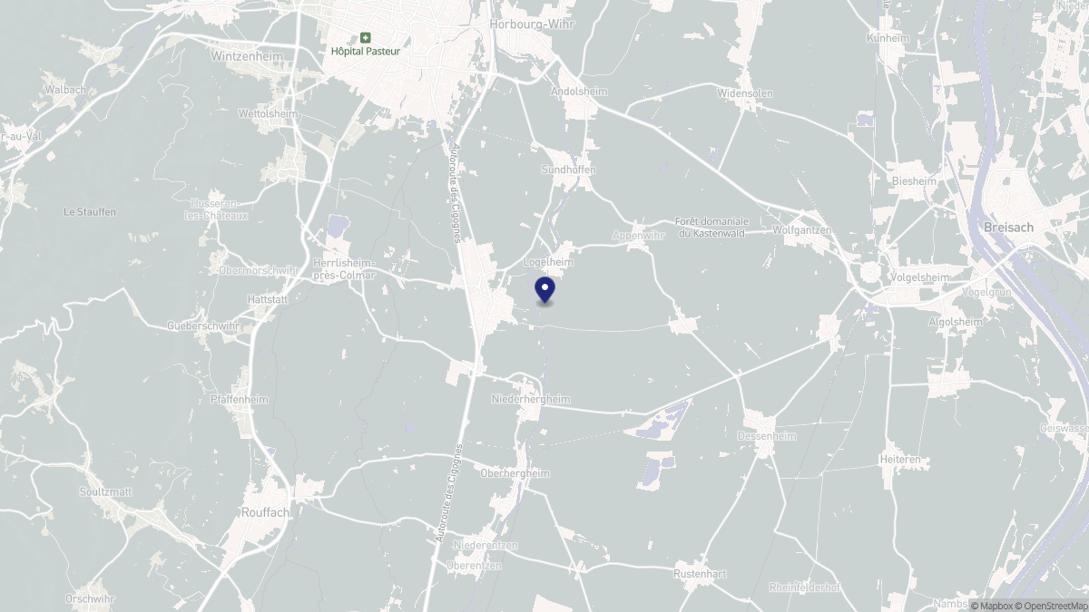 Aperçu cartographique de Sainte-Croix-en-Plaine, centré sur la commune