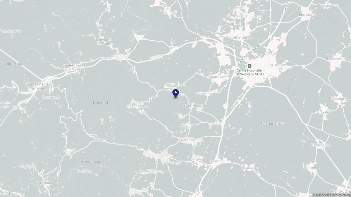Aperçu cartographique de Saint-Hippolyte, centré sur la commune