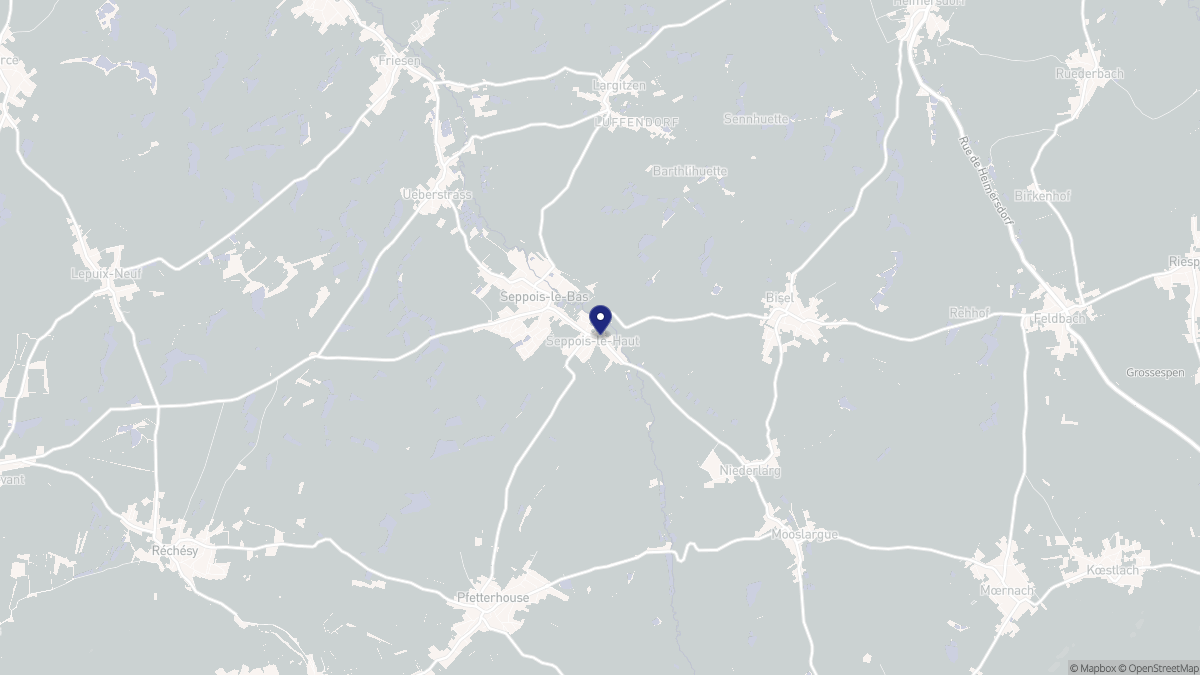 Aperçu cartographique de Seppois-le-Haut, centré sur la commune