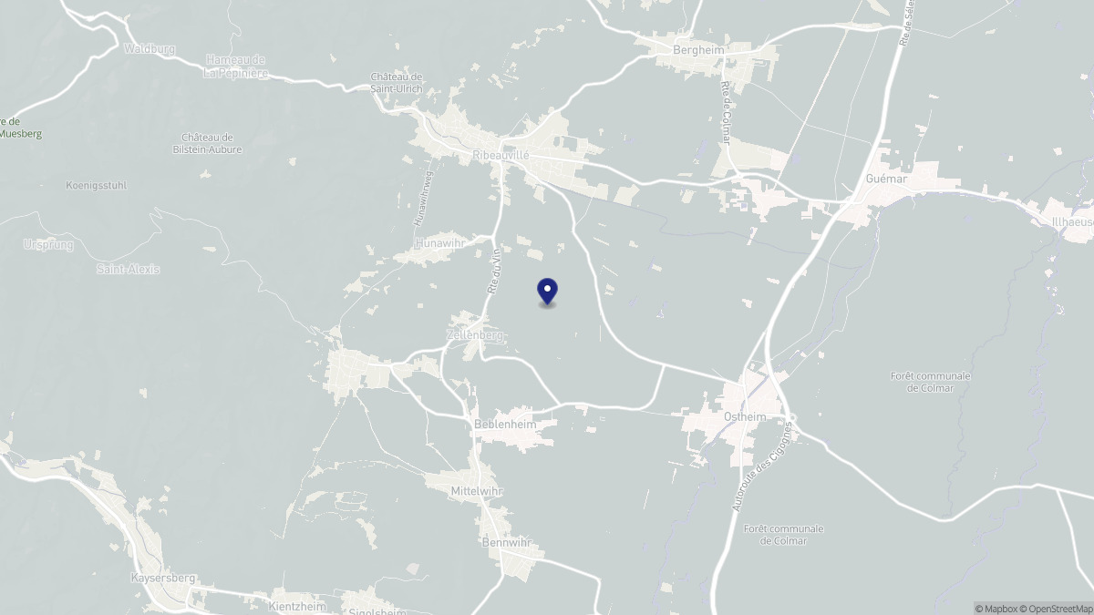Aperçu cartographique de Zellenberg, centré sur la commune