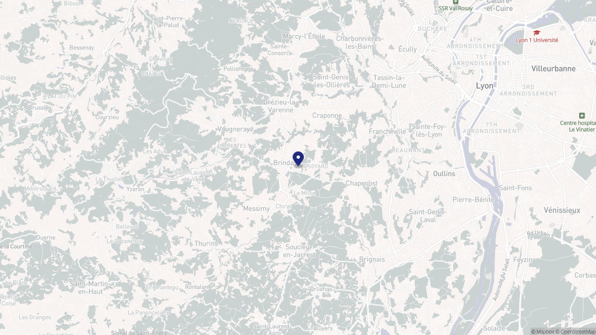 Aperçu cartographique de Brindas, centré sur la commune