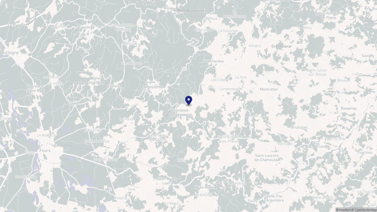 Aperçu cartographique de Chambost-Longessaigne, centré sur la commune