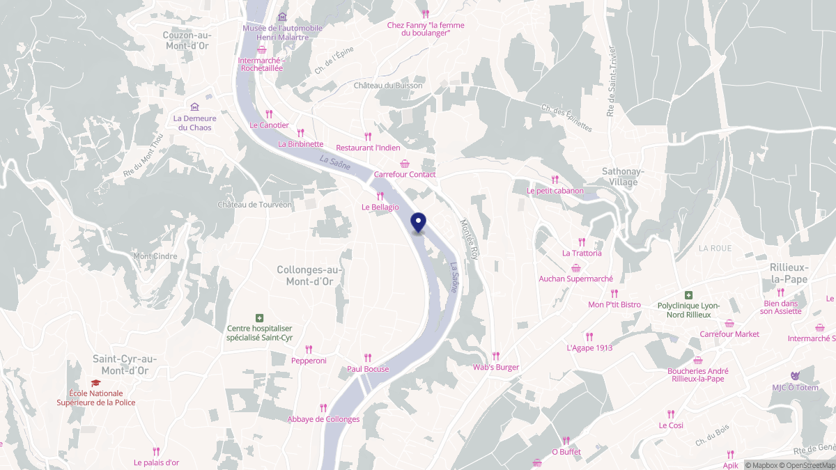 Aperçu cartographique de Fontaines-sur-Saône, centré sur la commune