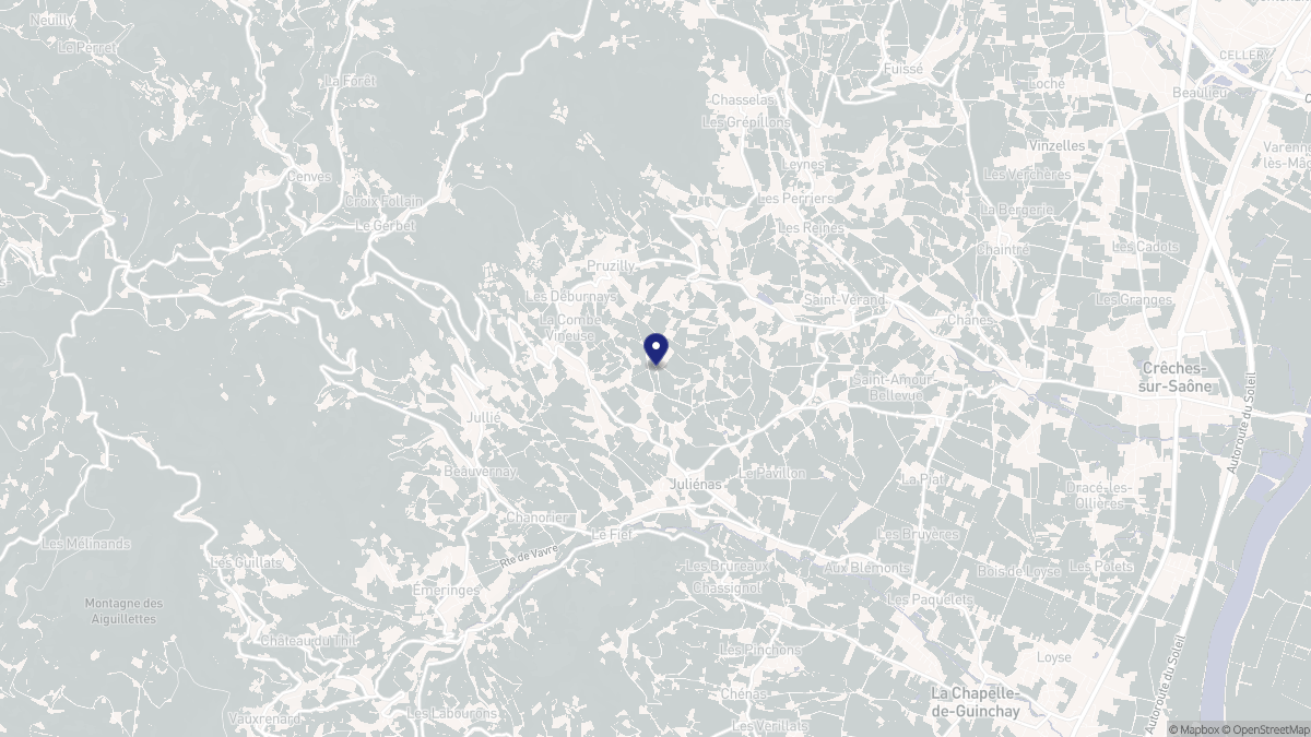 Aperçu cartographique de Juliénas, centré sur la commune