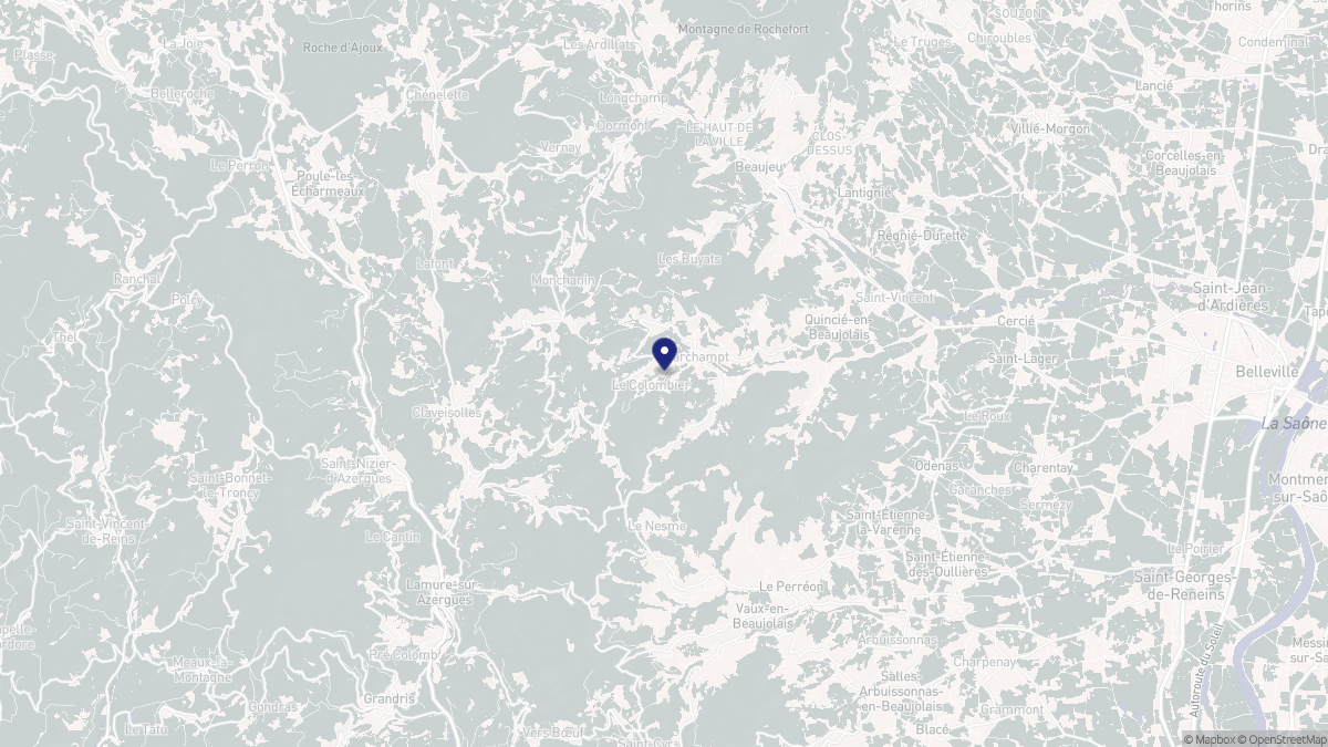 Aperçu cartographique de Marchampt, centré sur la commune