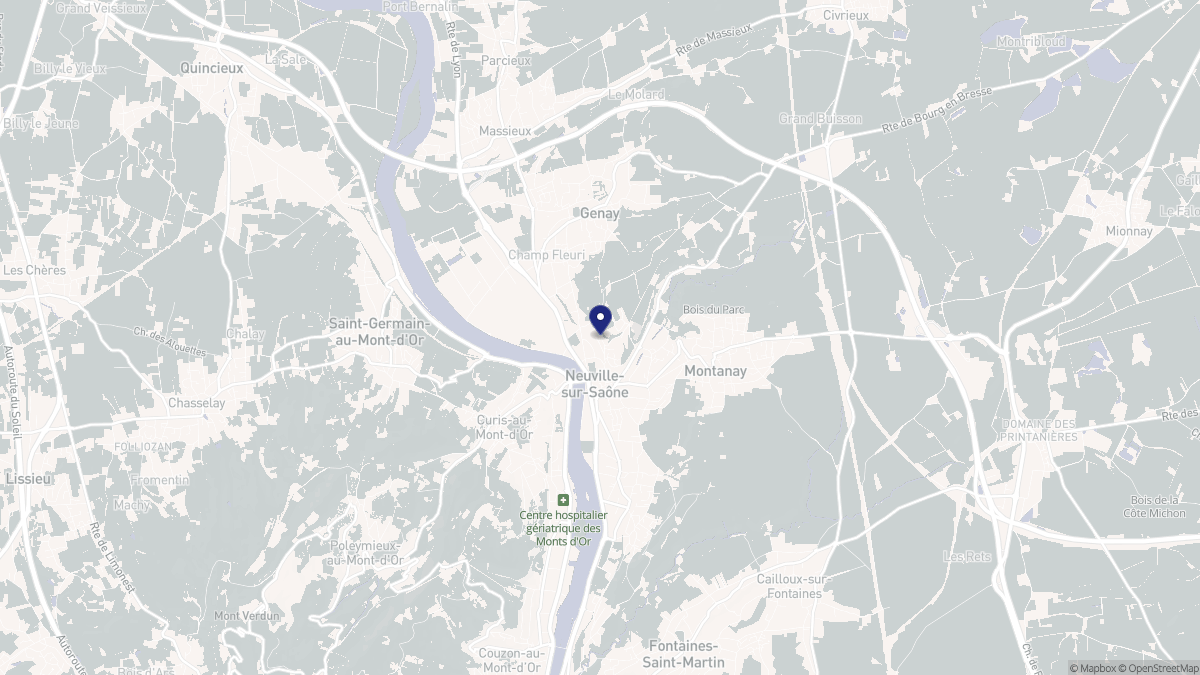 Aperçu cartographique de Neuville-sur-Saône, centré sur la commune