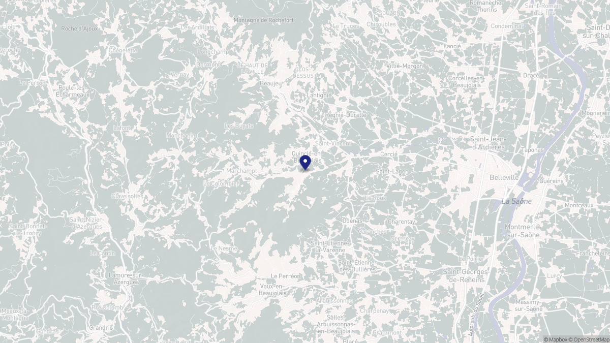 Aperçu cartographique de Quincié-en-Beaujolais, centré sur la commune