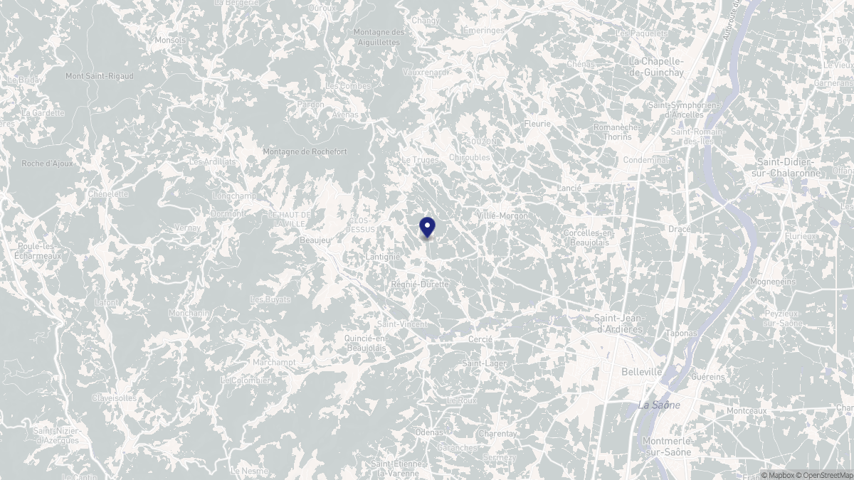 Aperçu cartographique de Régnié-Durette, centré sur la commune