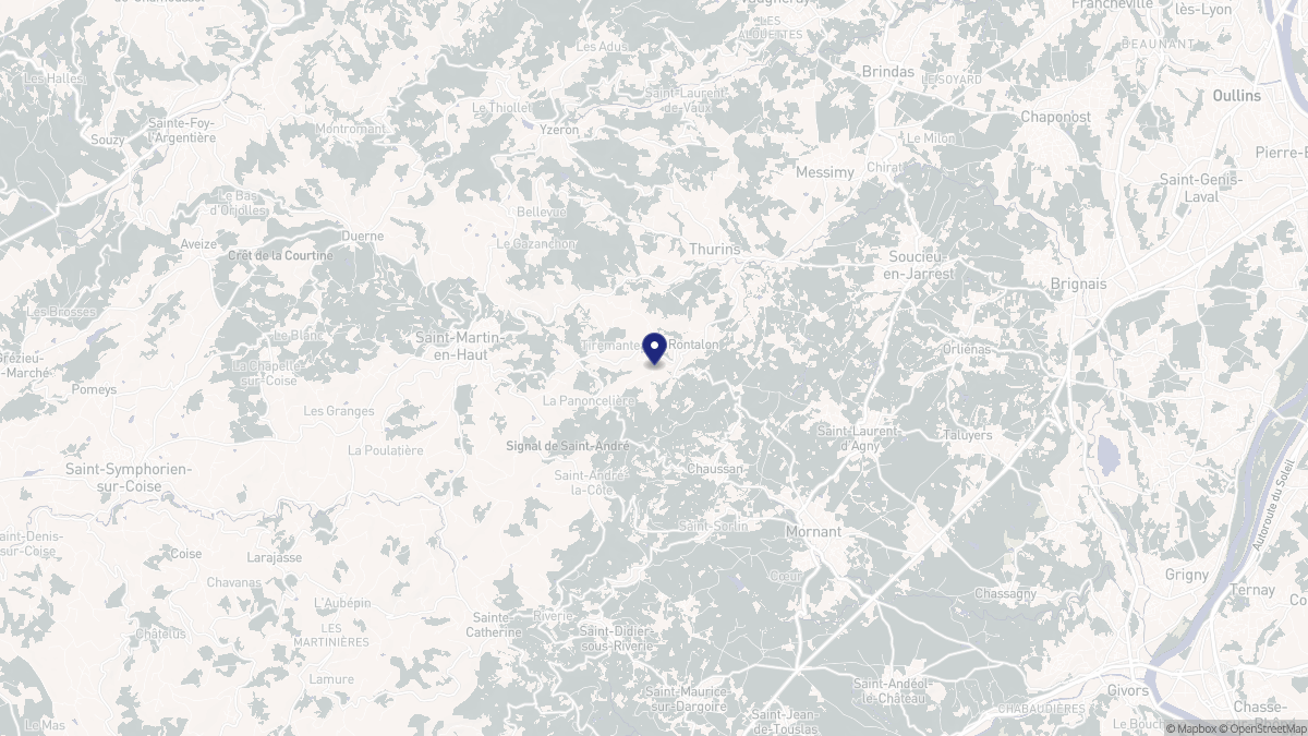 Aperçu cartographique de Rontalon, centré sur la commune