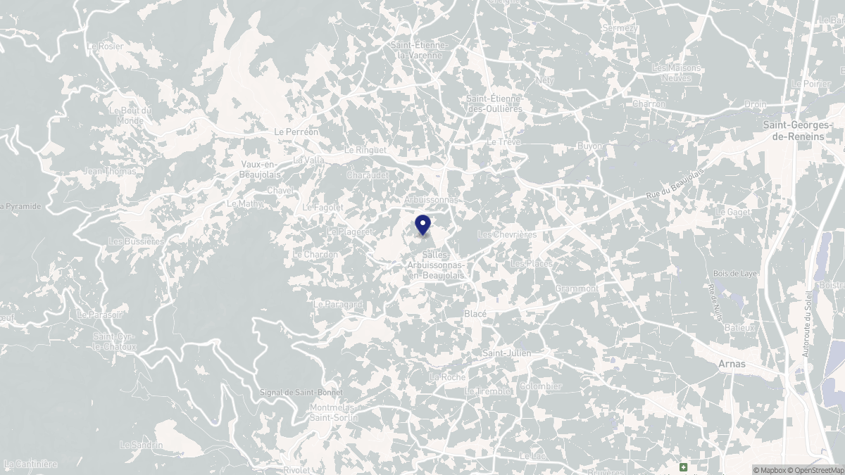 Aperçu cartographique de Salles-Arbuissonnas-en-Beaujolais, centré sur la commune