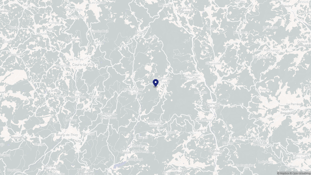 Aperçu cartographique de Saint-Bonnet-le-Troncy, centré sur la commune