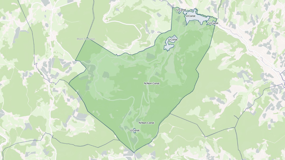 Aperçu cartographique de Saint-Didier-sur-Beaujeu, centré sur la commune