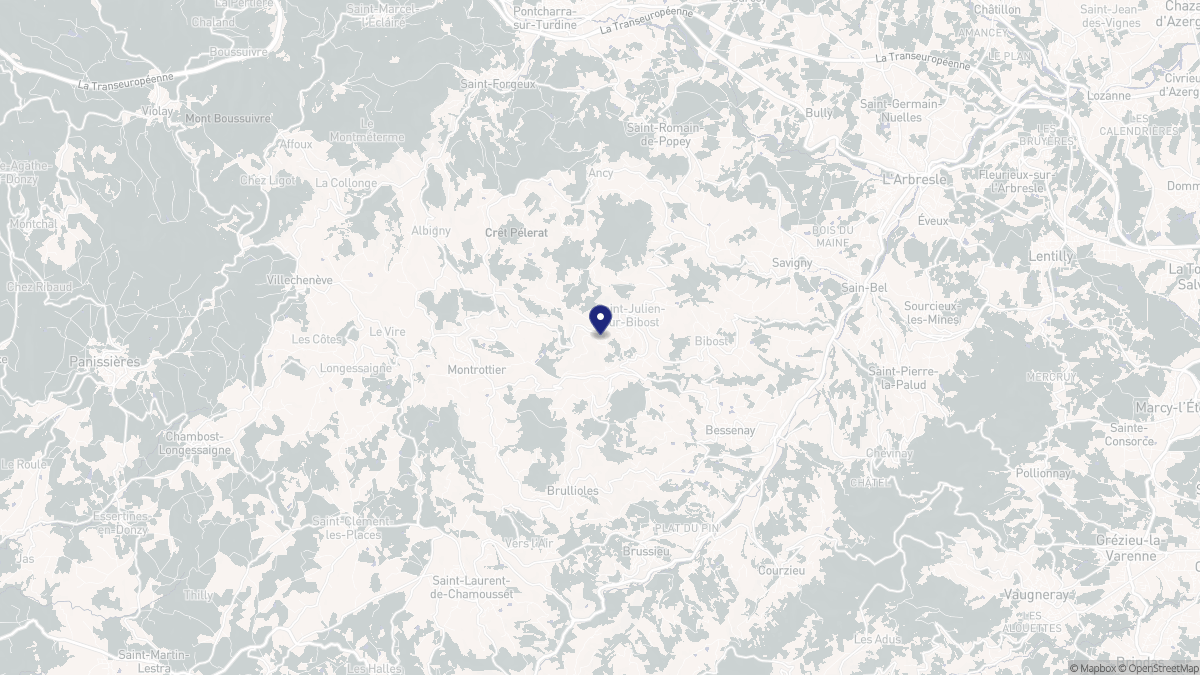 Aperçu cartographique de Saint-Julien-sur-Bibost, centré sur la commune