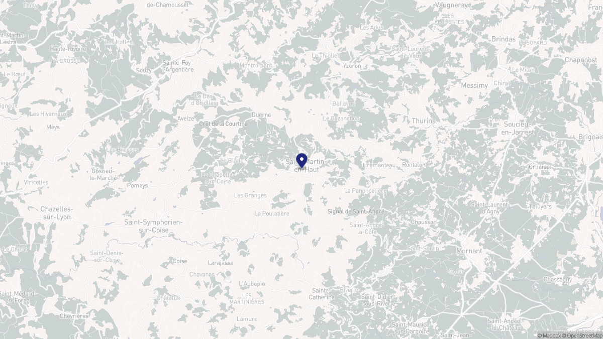 Aperçu cartographique de Saint-Martin-en-Haut, centré sur la commune