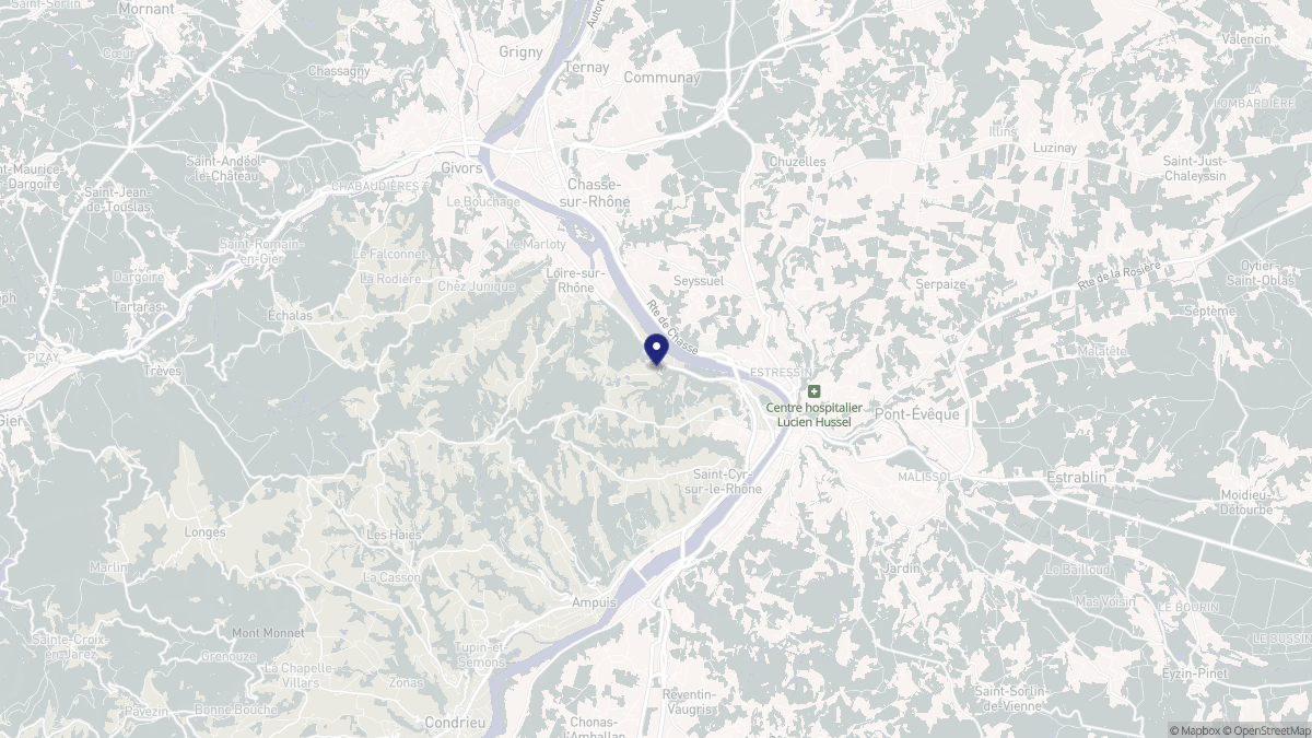 Aperçu cartographique de Saint-Romain-en-Gal, centré sur la commune