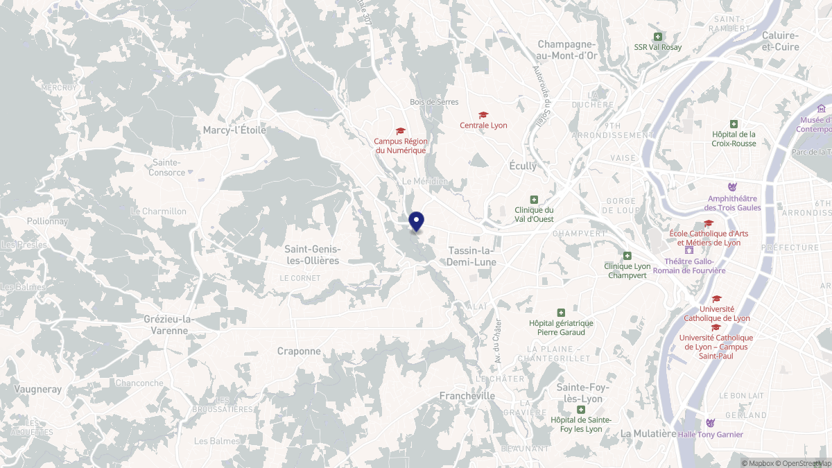 Aperçu cartographique de Tassin-la-Demi-Lune, centré sur la commune